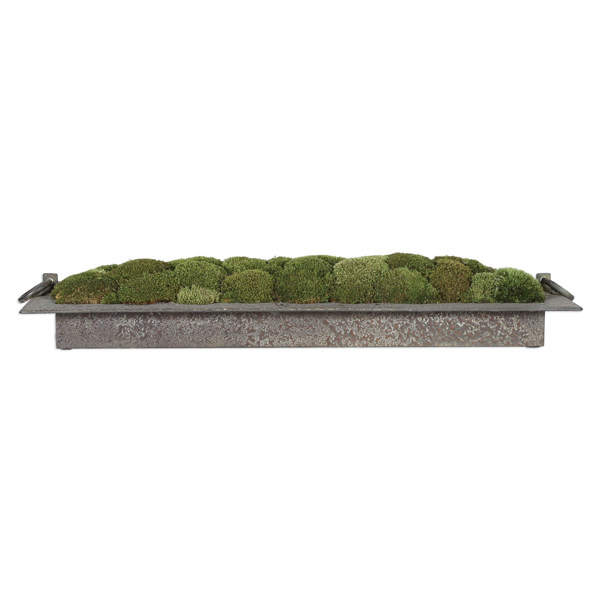 Heath - Preserved Moss Tray - Gray / Green