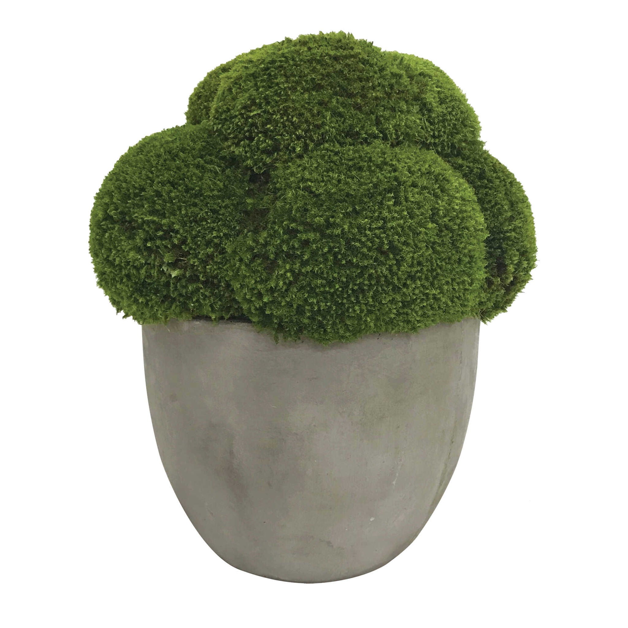 Cale - Moss Accent - Green